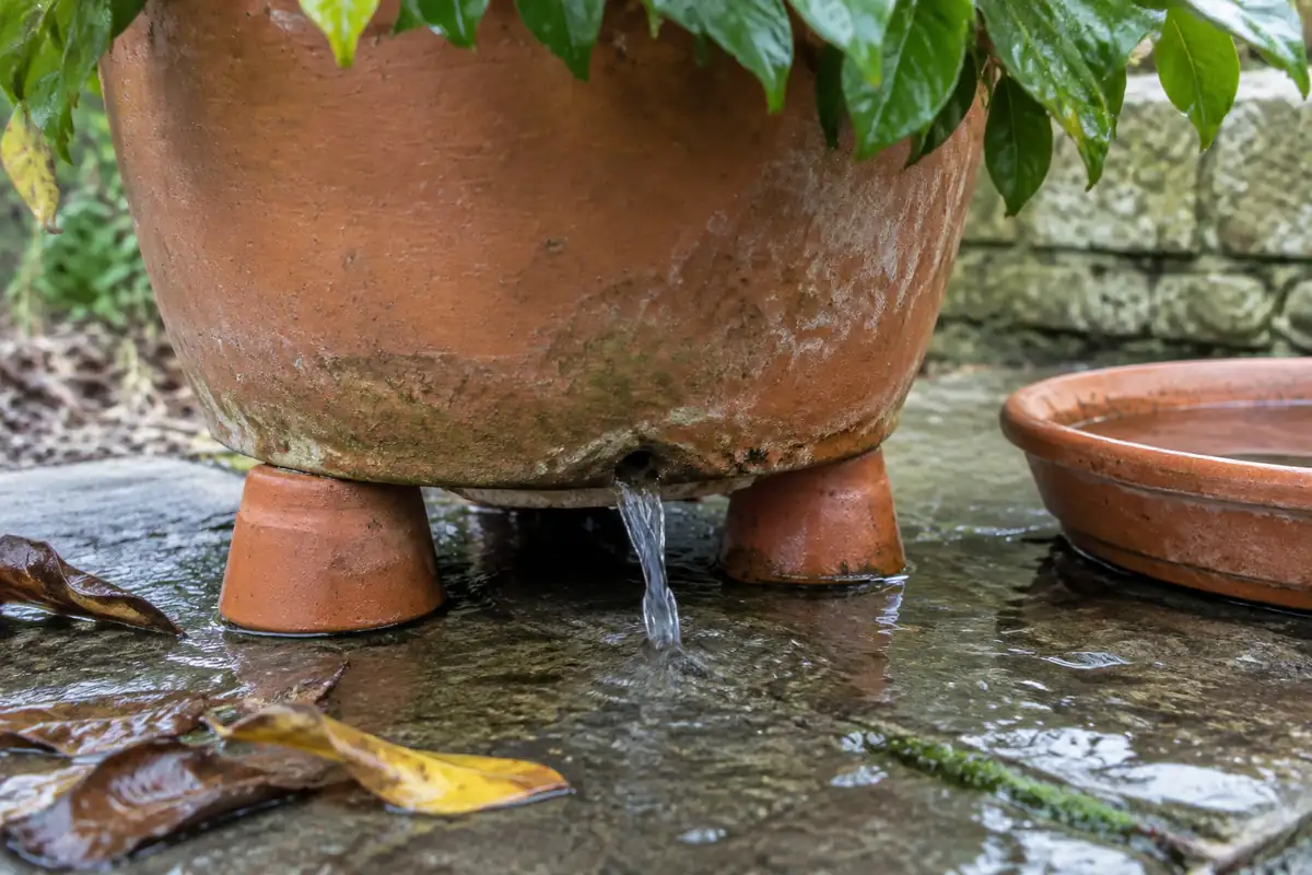 Pot en terre cuite surélevé sur des cales, l'eau s'écoulant par le trou de drainage